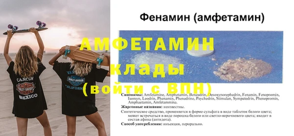 соль ск Дмитриев