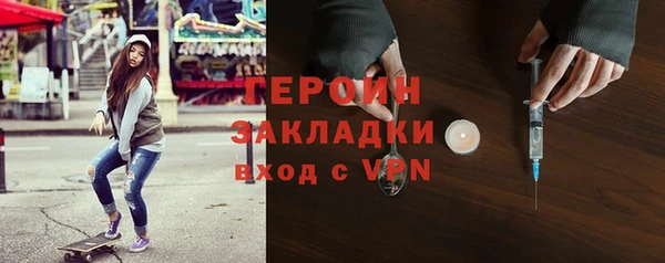 соль ск Дмитриев