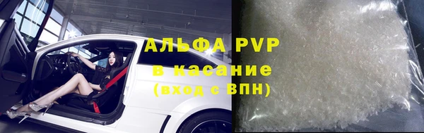 стаф Дмитров