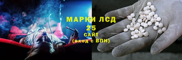стаф Дмитров