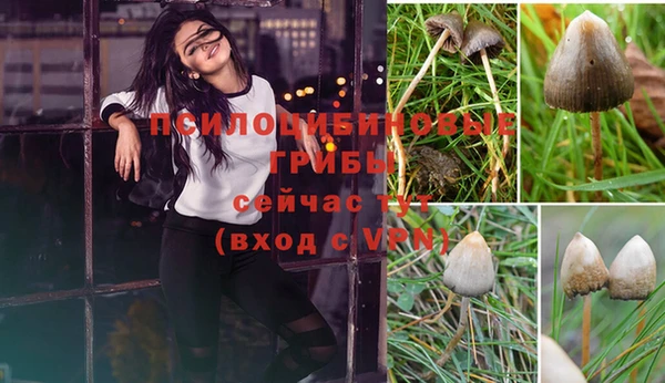 бутират Гусь-Хрустальный