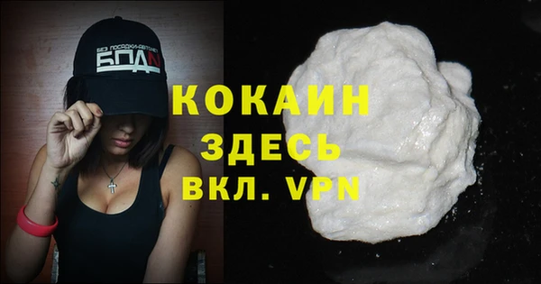 соль ск Дмитриев