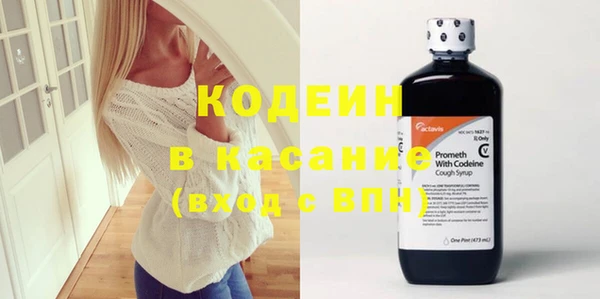 соль ск Дмитриев