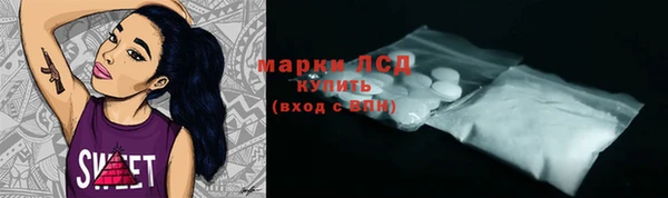 стаф Дмитров