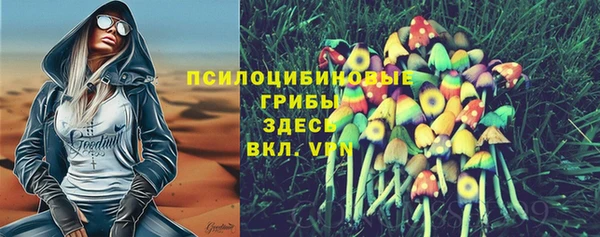 стаф Дмитров