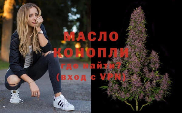 стаф Дмитров