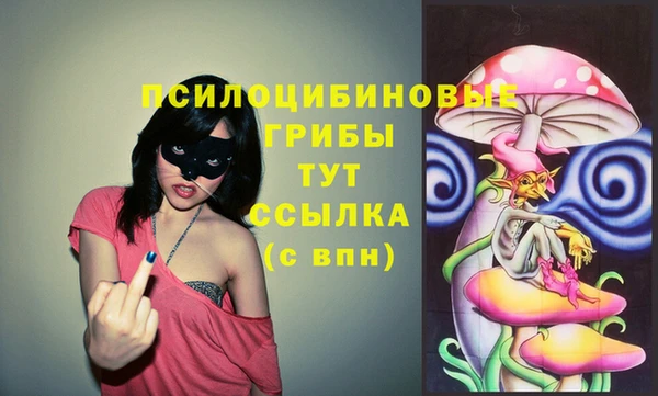 соль ск Дмитриев