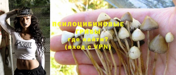 соль ск Дмитриев
