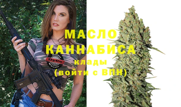 стаф Дмитров