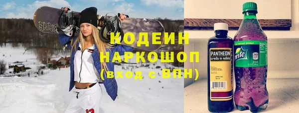 соль ск Дмитриев