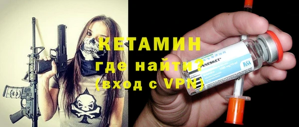 соль ск Дмитриев