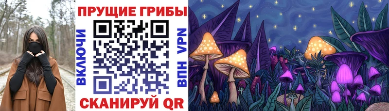 Галлюциногенные грибы Psilocybine cubensis KRAKEN ТОР Верхняя Салда