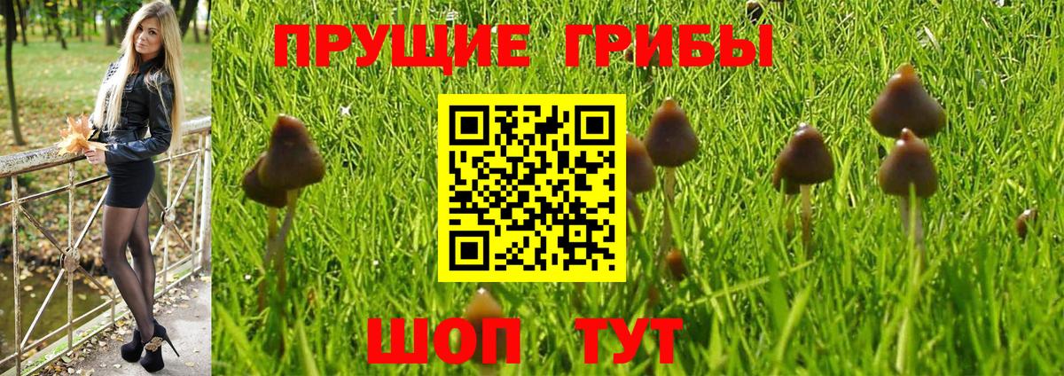 Галлюциногенные грибы Psilocybe  Верхняя Салда  Псилоцибиновые грибы мухоморы 